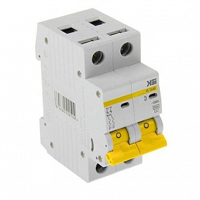 Купить автоматический двуxполюсный выключатель EASY9 SCHNEIDER-ELECTRIC 10 А в Краснодаре